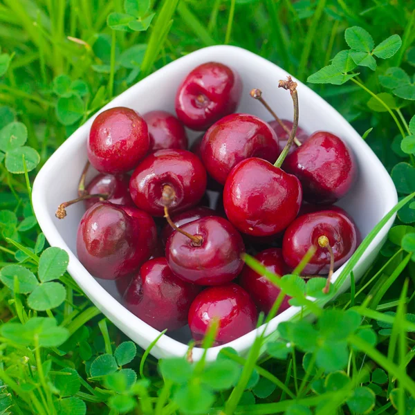 Körsbär i en keramikskål på grönt gräs — Stockfoto