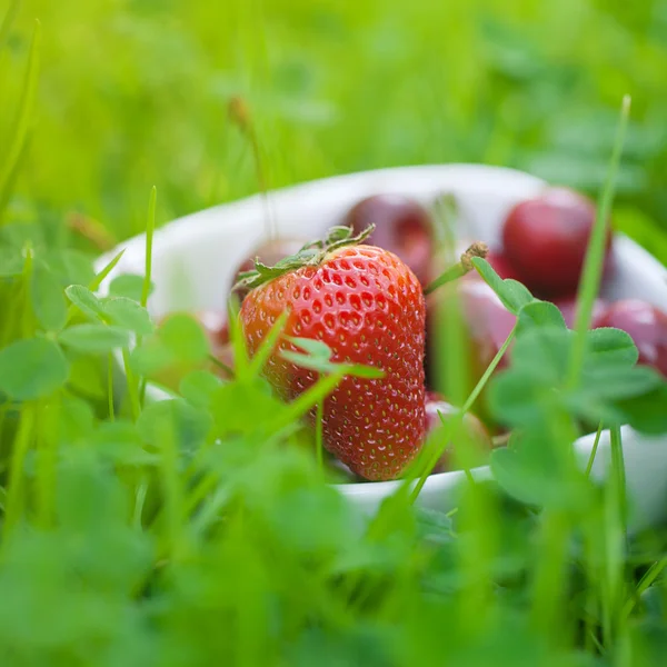 Cherries and strawberry in a ceramic bowl on green grass — Stock Photo, Image