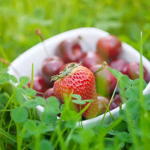 Cherries and strawberry in a ceramic bowl on green grass — Stock Photo, Image
