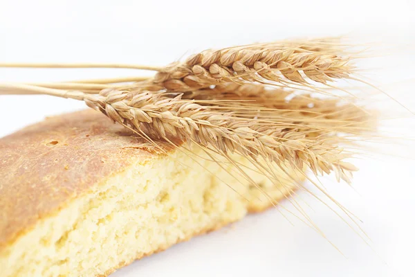パン、白で隔離されるスパイク — ストック写真