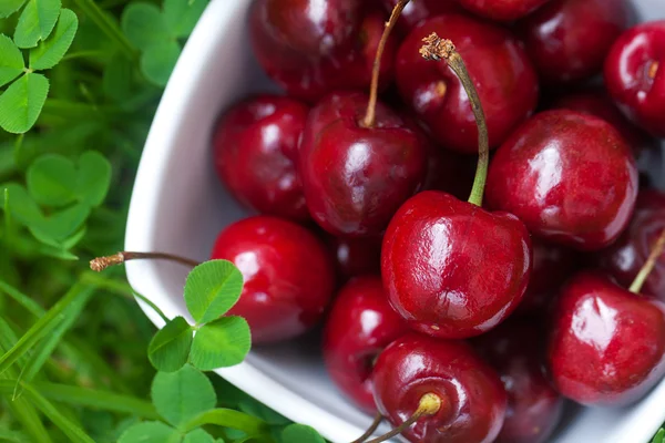 Cerezas en un tazón de cerámica sobre hierba verde — Foto de Stock