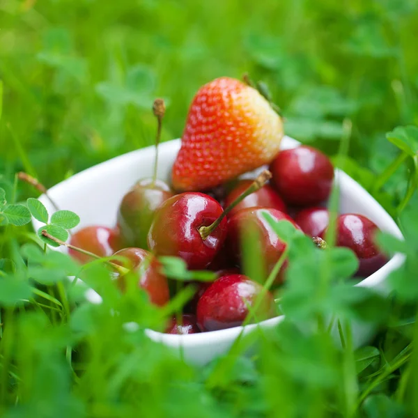 Cherries and strawberry in a ceramic bowl on green grass — Stock Photo, Image