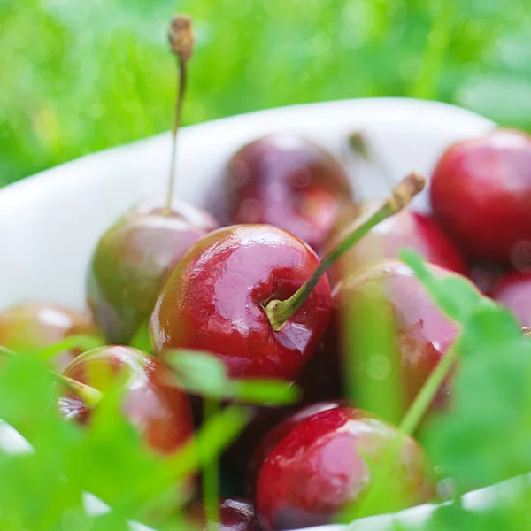 Körsbär i en keramikskål på grönt gräs — Stockfoto