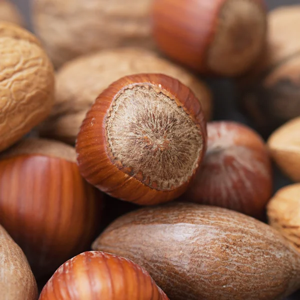 Macro background of heap of nuts — Stock Photo, Image