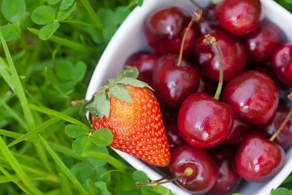 체리와 푸른 잔디에 세라믹 그릇에 딸기 — 스톡 사진