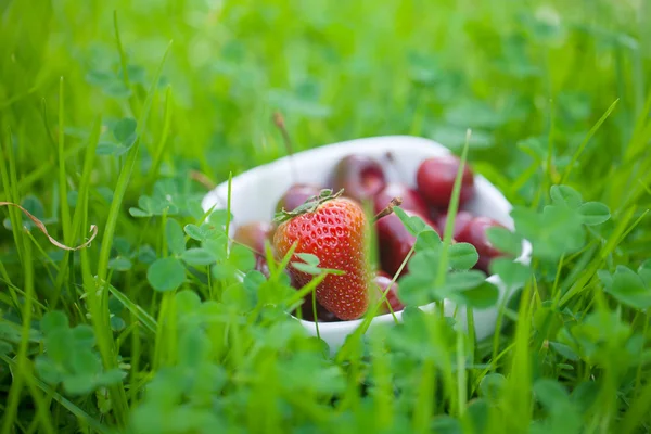 Cherries and strawberry in a ceramic bowl on green grass — Stock Photo, Image