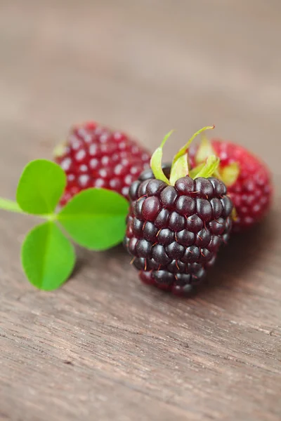 在木质表面上的三个多汁黑莓 — 图库照片