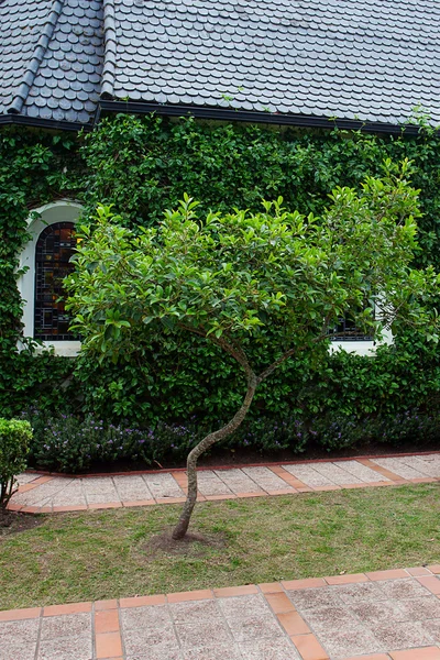 Yeşil ağaçlar ile küçük Şapel — Stok fotoğraf