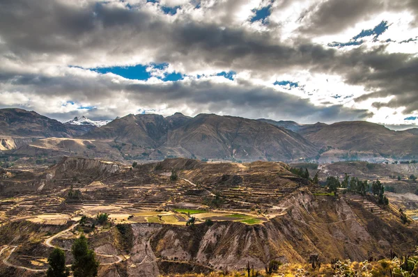 Colca canyon görünümü genel bakış — Stok fotoğraf