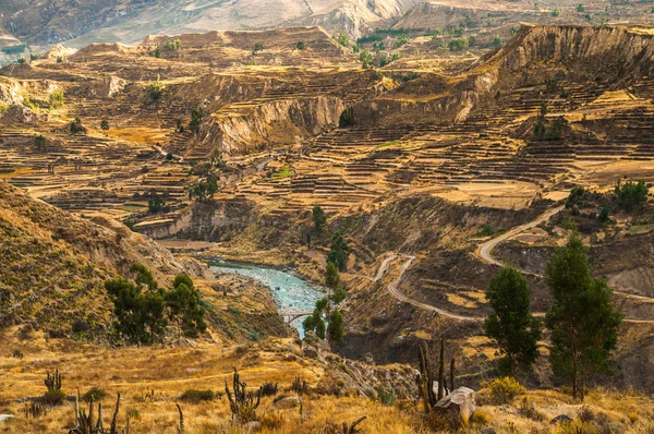 Colca canyon weergave — Stockfoto