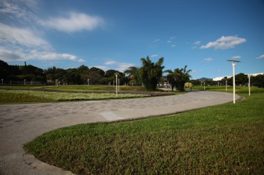 güzel arka plan üzerinde yeşil yaprakları