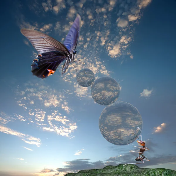 蝴蝶飞上的空气和蚂蚁 — 图库照片