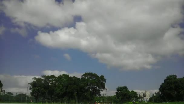 Zeitraffer eines grünen Parks mit blauem Himmel — Stockvideo