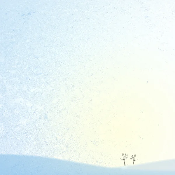 古い木々 と氷の背景 — ストック写真