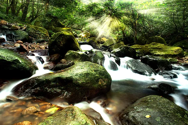 Cascata forestale e rocce coperte — Foto Stock