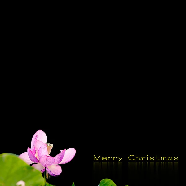 Kerstmis achtergrondontwerp — Stockfoto
