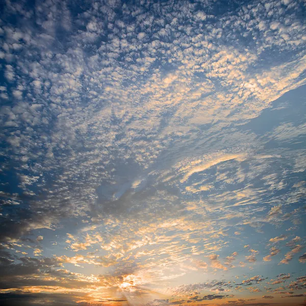 Vollbild des Sonnenuntergangs — Stockfoto