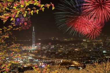 taipei w iyi akçaağaç gece manzarası
