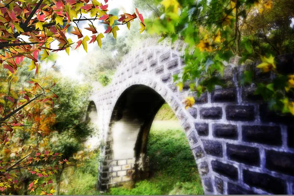 Ponte de madeira com bordo agradável — Fotografia de Stock