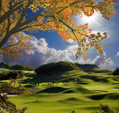 Golf alanı