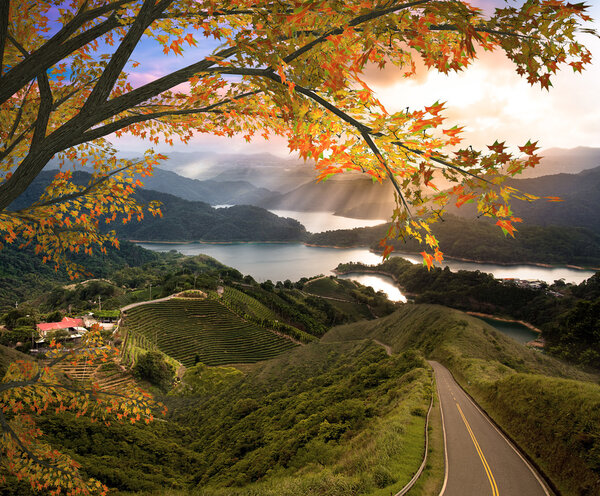 Amazing mountain with red leaf