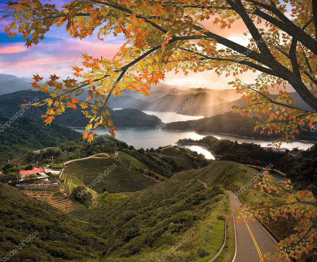 Amazing mountain with red leaf for adv or others purpose use