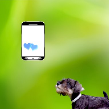 bir akıllı telefon arzu