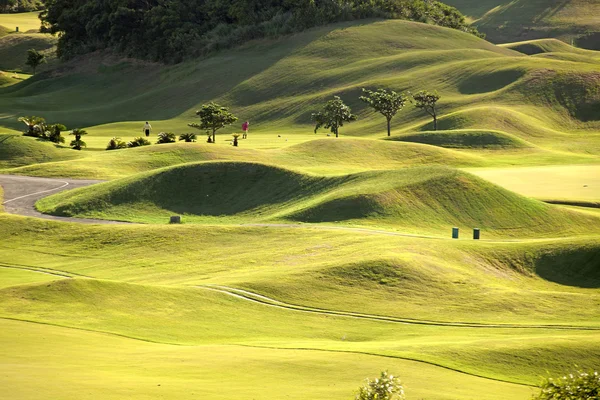 Lugar verde com agradável verde — Fotografia de Stock