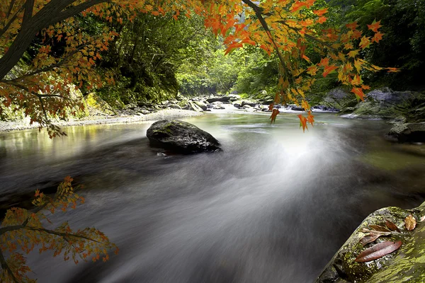 Maple River — Stock Photo, Image