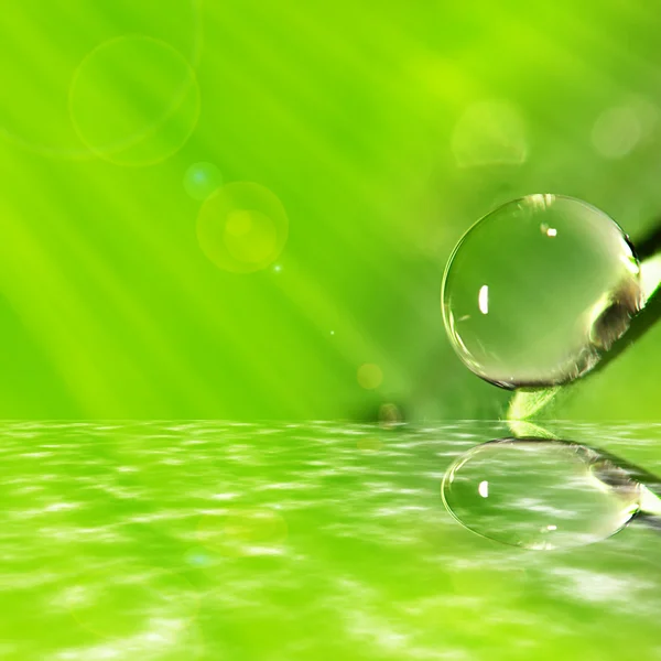 Water drop — Stock Photo, Image