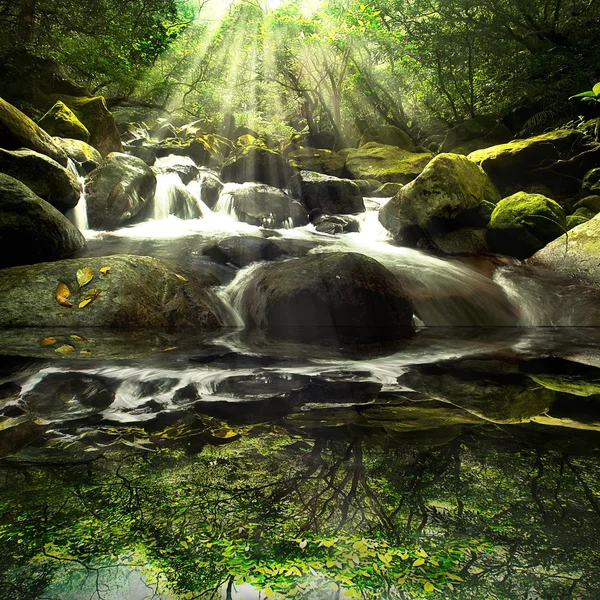 Cascade falls over old plum river with rocks — Stock Photo, Image