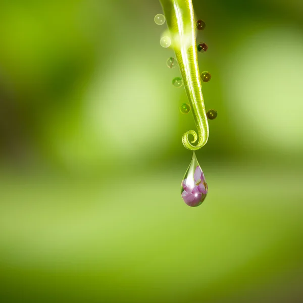 Goccia d'acqua con un bel fiore dentro — Foto Stock