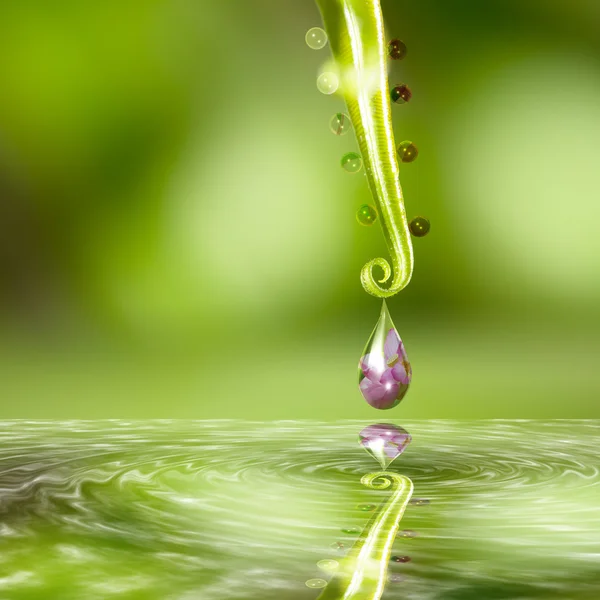 Goccia d'acqua con un bel fiore dentro — Foto Stock