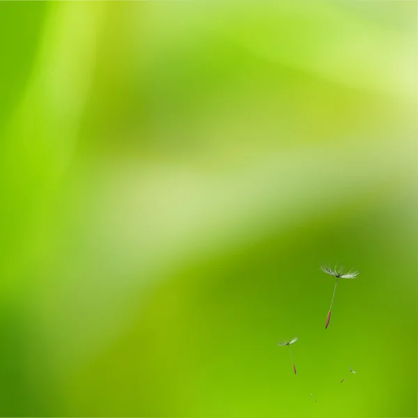 Diente de león en el viento —  Fotos de Stock