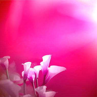 calla buket