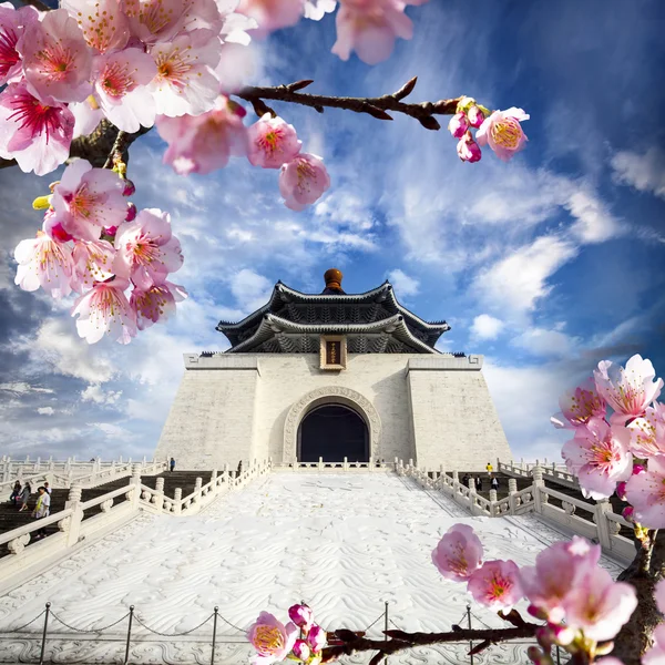 Sakura vykort — Stockfoto