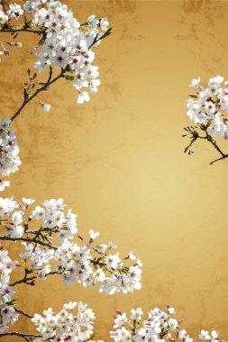 Sakura güzel arka plan ile