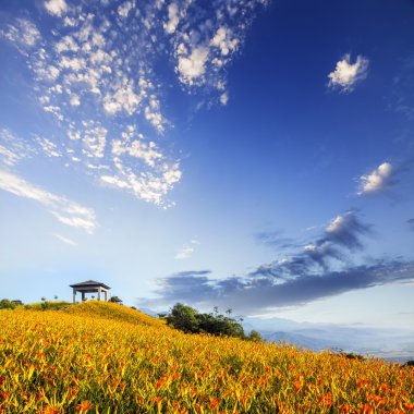 ilkbaharda Alpler Dağı