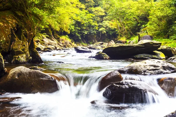 Cascade falls over mossy rocks — Stock Photo, Image