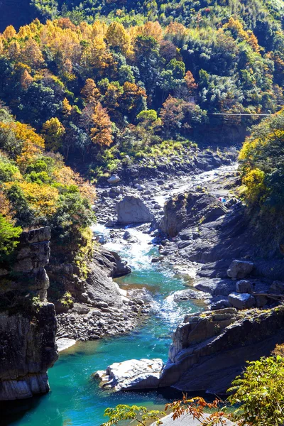 Herbstbäume — Stockfoto