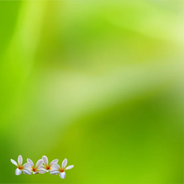 Bello sfondo fiore — Foto Stock