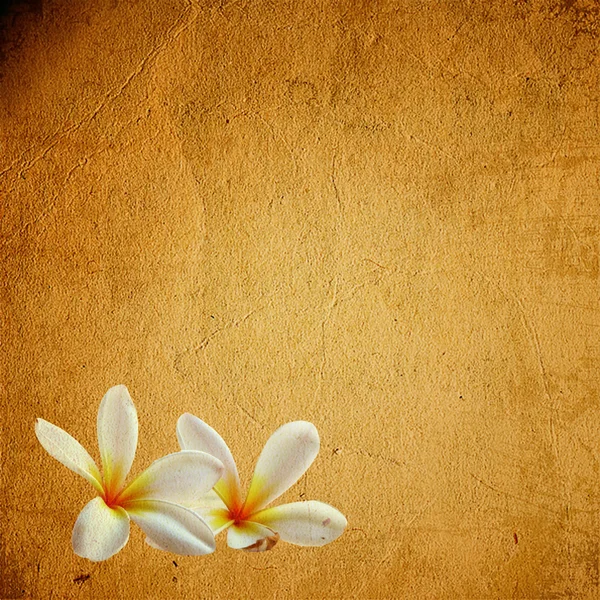 Old flower paper texture — Stock Photo, Image