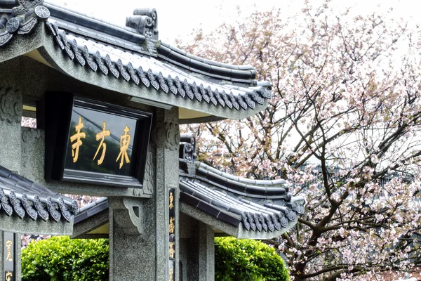 Schöne Sakura mit Tempel — Stockfoto