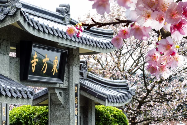 Tempel met mooie sakura — Stockfoto