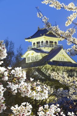 Nagahama, Japonya Tarihi Müzesi