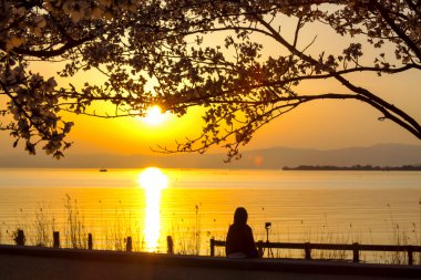 Japonya feng park günbatımı