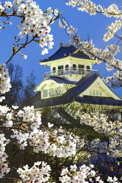 Nagahama, japan museum van de geschiedenis — Stockfoto