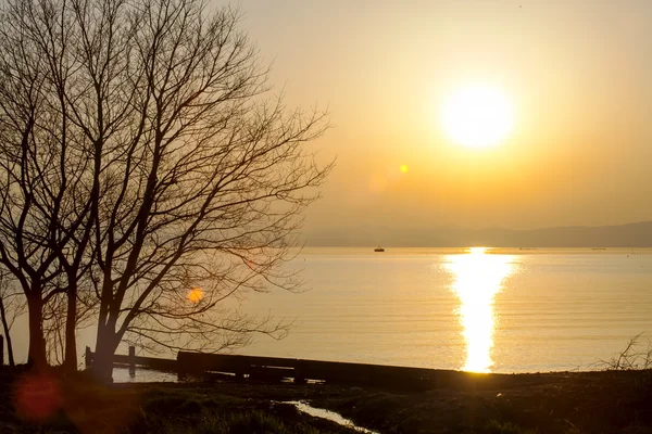 Japan Feng Park Sunset — Stock Photo, Image