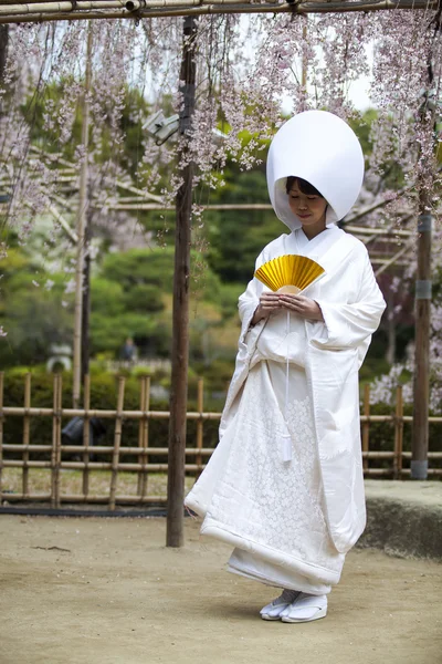 Trajes de casamento japonês — Fotografia de Stock