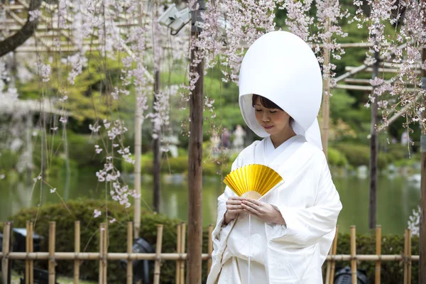 Japanse bruiloft kostuums — Stockfoto